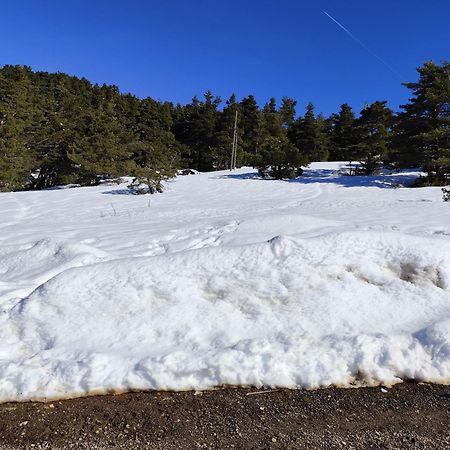 Appartement Greoliere Les Neiges Avec Exterieur Greolieres Kültér fotó